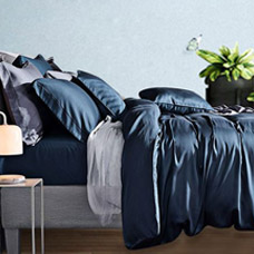 真芯天丝抗菌清新被